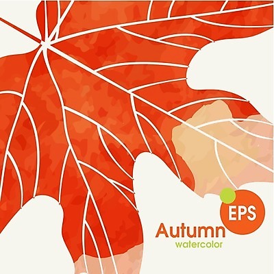 EPS 해외이미지 식물 백그라운드 단풍 잎 일러스트 자연 수채화 사람없음 빨간색 가을 해외202004 해외일러스트 계절 컬러 생태계 파일형식 벡터