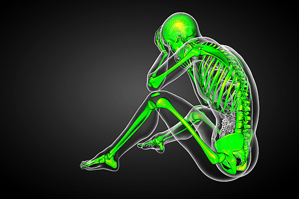 포토 JPG 해외이미지 해부 뼈 골격 엑스레이 건강 사람 사람없음 3D 척추 관절 무릎 테라피 정형외과 해골모형 해외202004 해외포토 의학 병원 신체부위 뷰티 모형 디지털합성 파일형식