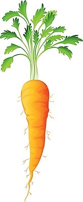 EPS 해외이미지 음식 줄기 백그라운드 잎 밭 채소 오렌지 일러스트 그래픽 초록색 농작물 농장 농경지 정원 흙 당근 수확 흰색 신선 농부 땅 그림 뿌리 비타민 고립 녹말 땅바닥 밭일 식용 영양분 맛있는 해외202004 해외일러스트 식물 직업 컬러 농업 과일 바닥 뿌리채소 영양소 파일형식 벡터