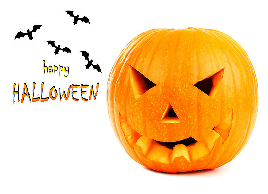 포토 JPG 해외이미지 전통 계절 음식 백그라운드 채소 자연 호박 미소 웃음 사람없음 장식 노란색 파티 할로윈 가을 흰색 등불 축하 표현 유령 무서움 오브젝트 박쥐 10월 잭오랜턴 호러 오싹 해외202004 해외포토 감정 컬러 컨셉 포유류 조명 표정 이벤트 날짜 생태계 공포 파일형식