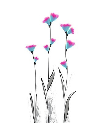 EPS 해외이미지 식물 디자인 꽃잎 꽃 실루엣 결혼 백그라운드 잎 꽃무늬 일러스트 자연 엄마 추상 부활절 미술 그래픽 장식 여름 정원 봄 낭만 수확 벚꽃 흰색 나뭇가지 축하 인사 신용카드 생일 화려 우아함 그림 원예 초대 내추럴 고립 그런지 엘리먼트 해외202004 해외일러스트 나무 계절 기념일 컬러 컨셉 무늬 농업 가족 문화예술 촬영기법 이벤트 취미 금융 예절 생태계 파일형식 벡터