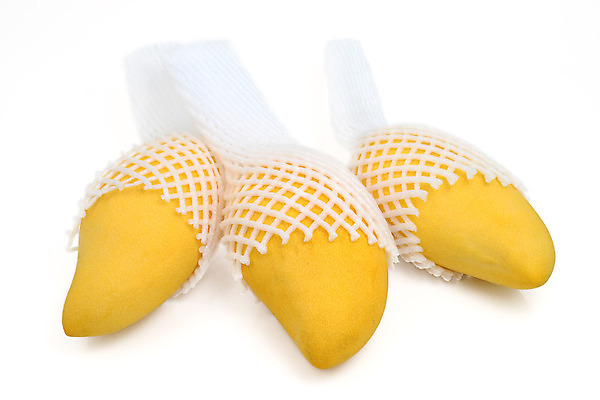 포토 JPG 해외이미지 음식 과일 포장 태국 사람없음 노란색 거품 신선 보호 천 가득함 흰배경 유기농 패키지 망고 건강식 짐싸기 고립 숙성 열대기후 해외202004 해외포토 웰빙 아시아 컬러 백그라운드 컨셉 흰색 직물 열대과일 파일형식