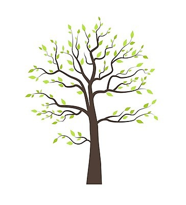 EPS 해외이미지 나무 식물 디자인 계절 실루엣 백그라운드 잎 패턴 일러스트 자연 추상 미술 풍경 장식 여름 환경 정원 검은색 봄 흰색 나뭇가지 숲 심볼 사인 싱글 그림 윤곽 뿌리 내추럴 고립 생태학 엘리먼트 옛날 해외202004 해외일러스트 교육 컬러 무늬 문화예술 촬영기법 생태계 파일형식 벡터