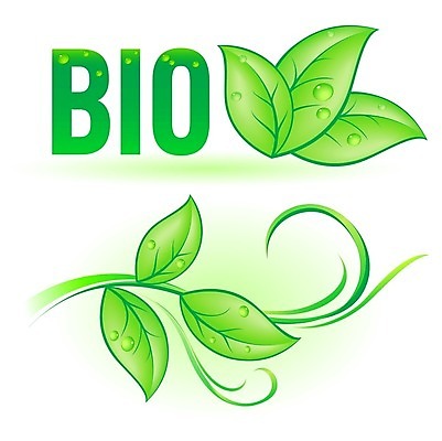 EPS 해외이미지 식물 백그라운드 잎 곡선 일러스트 사람없음 초록색 단어 빛 환경 재활용 소용돌이 흰색 에코 회전 해외202004 해외일러스트 문자 선 컬러 회오리 친환경 파일형식 벡터