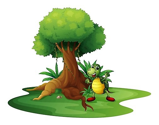 EPS 해외이미지 나무 식물 동물 백그라운드 잎 일러스트 자연 휴식 선물 서기 야외 목재 그래픽 초록색 물 갈색 흰색 나뭇가지 잡초 거북이 보호 숲 큼 그늘 그림 통나무 뿌리 포도나무 느림 자원 거인 내추럴 기어가기 고립 등딱지 수목 옛날 해외202004 해외일러스트 자연요소 컬러 컨셉 재료 파충류 모션 크기 과일나무 생태계 파일형식 벡터