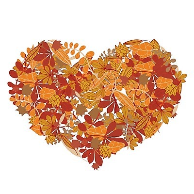 EPS 해외이미지 식물 디자인 계절 백그라운드 잎 꽃무늬 패턴 오렌지 일러스트 자연 추상 사랑 그래픽 장식 초록색 회색 가을 나뭇가지 하트 신용카드 화려 그룹 9월 11월 심볼 10월 고립 엘리먼트 파스텔톤 해외202004 해외일러스트 모양 나무 꽃 감정 컬러 컨셉 무늬 과일 금융 날짜 생태계 파일형식 벡터