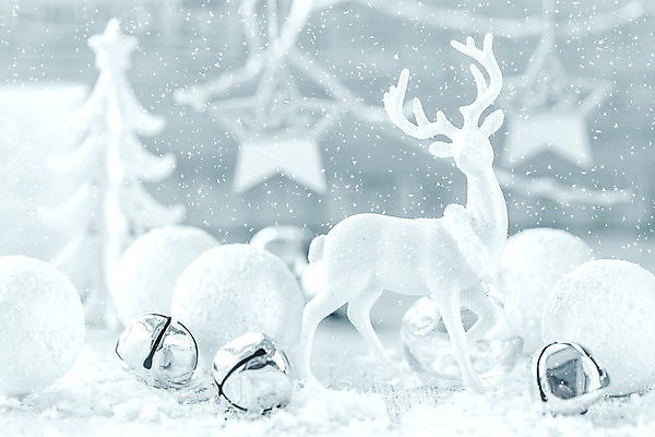 포토 JPG 해외이미지 나무 전통 디자인 별 백그라운드 크리스마스 겨울 공 사슴 새로움 기념 매달리기 사람없음 장식 축제 장식볼 흰색 축하 눈송이 우아함 은색 12월 묘사 해외202004 해외포토 자연요소 식물 계절 기념일 컬러 컨셉 포유류 모션 눈_날씨 날짜 파일형식