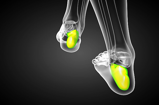 포토 JPG 해외이미지 뼈 골격 건강 사람 사람없음 고통 환자 발목 양발 정형외과 해외202004 해외포토 감정 의학 발 병원 파일형식