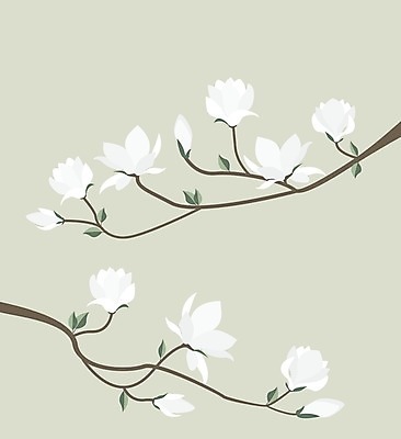 EPS 해외이미지 꽃 일러스트 사람없음 봄 낭만 나뭇가지 목련 해외202004 해외일러스트 나무 식물 계절 컨셉 파일형식 벡터