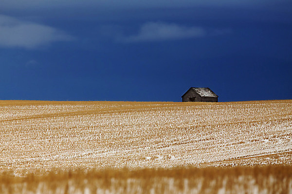 포토 JPG 해외이미지 계절 겨울 밭 자연 풍경 사람없음 야외 추위 흰색 땅 고립 해외202004 해외포토 컬러 농업 생태계 파일형식