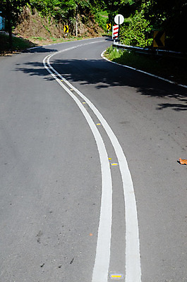 포토 JPG 해외이미지 나무 도로 선 섬 여행 백그라운드 곡선 교통시설 자연 하늘 산 손바닥 풍경 사람없음 야외 목재 가로 초록색 여름 햇빛 맑음 운전 젖음 흰색 시골 고속도로 숲 위험 아스팔트 말레이시아 내추럴 방법 해외202004 해외포토 식물 손 계절 아시아 길 컬러 교통 컨셉 재료 모션 날씨 태양 시설 생태계 파일형식