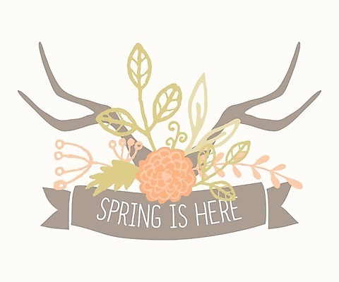 EPS 해외이미지 손 디자인 계절 꽃 행복 포스터 분홍색 꽃다발 결혼 백그라운드 잎 오렌지 일러스트 텍스트 휴가 사슴 부활절 뿔 그래픽 장식 초록색 화환 봄 낭만 수확 벚꽃 인사 신용카드 인쇄 시원함 편지 다발 복고 엽서 손그림 엘리먼트 월계수 파스텔톤 해외202004 해외일러스트 식물 기념일 감정 컬러 컨셉 농업 과일 포유류 이벤트 신체부위 금융 예절 파일형식 벡터