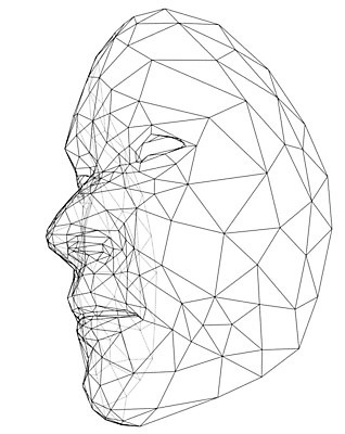 EPS 해외이미지 디자인 남자 얼굴 선 백그라운드 패턴 일러스트 비즈니스 열쇠 추상 안전 사람 파란색 컴퓨터 머리 3D 검은색 흰색 신용카드 암호 보호 거절 확인 뇌 보안 신분 공포 시스템 센서 소프트웨어 스캐너 스캔 신분증 제어 탐지 해외202004 해외일러스트 컬러 컨셉 무늬 신체부위 금융 전자제품 디지털합성 증명서 파일형식 벡터