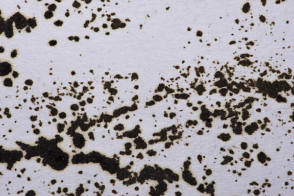 포토 JPG 해외이미지 디자인 종이 백그라운드 패턴 일러스트 벽지 추상 수채화 잉크 창조 미술 경사 사람없음 그래픽 가로 파란색 컬러풀 페인트 수확 붓 얼룩 거친 액체 떨어짐 그림 질감 그런지 스크랩북 해외202004 해외포토 컬러 컨셉 무늬 농업 문화예술 파일형식