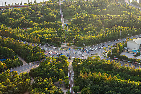 포토 JPG 주간 나무 도로 서울 한국 풍경 사람없음 야외 도시풍경 도시 국내여행 서울숲 전경 국내포토 자연요소 식물 아시아 길 여행 교통시설 숲 파일형식 탑뷰