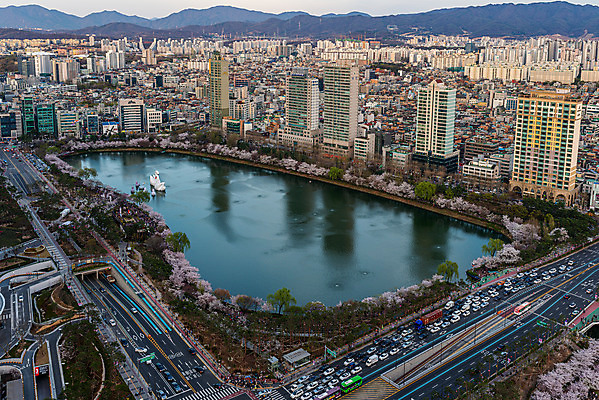 포토 JPG 주간 서울 한국 풍경 사람없음 야외 건물 도시풍경 벚꽃 도시 국내여행 석촌호수 잠실 전경 국내포토 자연요소 건축물 꽃 아시아 호수 여행 파일형식 탑뷰