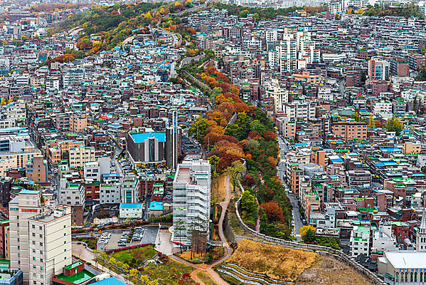 포토 JPG 주간 나무 서울 한국 풍경 사람없음 야외 건물 도시풍경 도시 국내여행 성곽길 낙산공원 전경 국내포토 자연요소 식물 건축물 공원 아시아 길 여행 파일형식 탑뷰