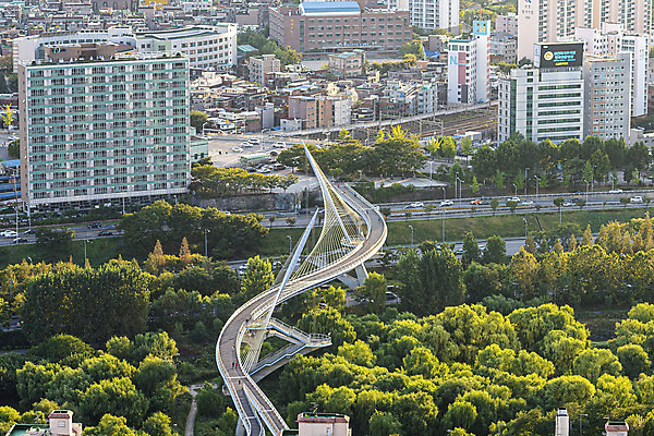 포토 JPG 주간 나무 서울 한국 풍경 사람없음 야외 건물 도시풍경 도시 국내여행 생태공원 전경 영등포 국내포토 자연요소 식물 건축물 공원 아시아 여행 파일형식 탑뷰