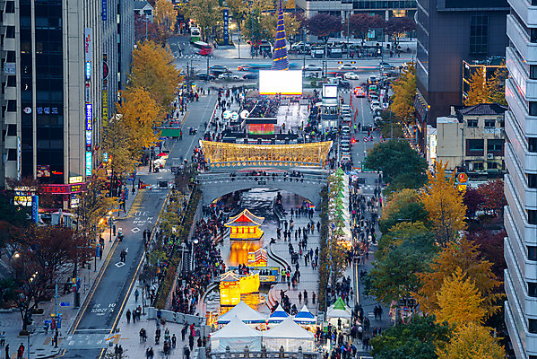 포토 JPG 주간 나무 도로 한국 풍경 여러명 야외 도시풍경 축제 도시 군중 청계천 국내여행 등불축제 전경 국내포토 자연요소 식물 아시아 길 여행 다수 교통시설 서울 사람 강 랜드마크 파일형식 탑뷰
