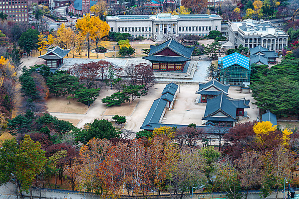 포토 JPG 주간 한국문화 단풍 풍경 사람없음 야외 도시풍경 궁전 가을 도시 국내여행 덕수궁 전경 국내포토 자연요소 동양문화 계절 여행 고건축 잎 한국 파일형식 탑뷰