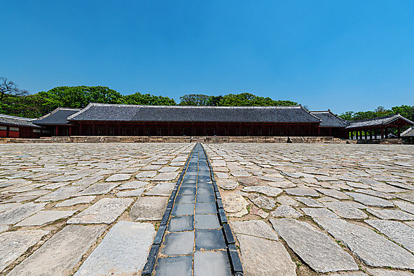 포토 JPG 주간 한국문화 서울 풍경 사람없음 야외 도시풍경 도시 국내여행 종로 종묘 전경 국내포토 자연요소 동양문화 여행 한국 파일형식 탑뷰