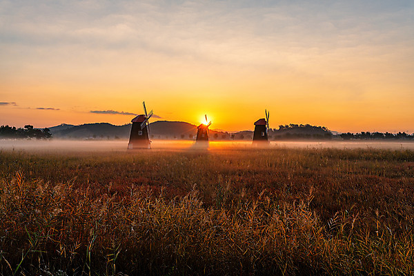 포토 JPG 구름 하늘 한국 풍경 사람없음 야외 도시풍경 일몰 풍차 도시 습지 인천 국내여행 소래포구 전경 국내포토 자연요소 아시아 여행 노을 항구 파일형식 탑뷰