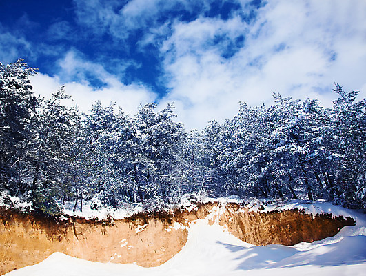 포토 JPG 해외이미지 나무 식물 구름 계절 공원 크리스마스 겨울 꽃무늬 자연 하늘 날씨 휴가 새로움 풍경 사람없음 야외 파란색 맑음 냉동 얼음 추위 흰색 나뭇가지 전원 떨어짐 숲 12월 땅 연도 서리 상록수 침엽수 전나무 눈보라 내추럴 폭설 눈내림 가문비나무 해외202004 해외포토 자연요소 공공시설 기념일 꽃 컬러 컨셉 무늬 눈_날씨 날짜 전기에너지 자연재해 생태계 파일형식