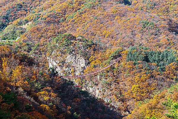 포토 JPG 주간 산 한국 풍경 사람없음 야외 도시풍경 등산 도시 국내여행 단풍놀이 파주 전경 감악산 국내포토 자연요소 아시아 여행 단풍 소풍 트래킹 경기도 파일형식 탑뷰