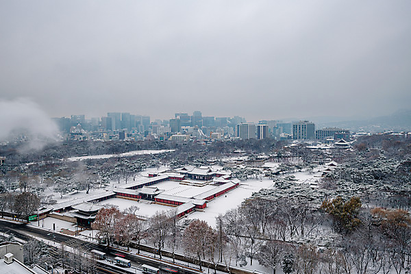 포토 JPG 주간 한국문화 겨울 하늘 한옥 서울 풍경 사람없음 야외 도시풍경 궁전 눈 도시 국내여행 창경궁 전경 국내포토 자연요소 동양문화 한국전통 계절 여행 고건축 날씨 한국 파일형식 탑뷰