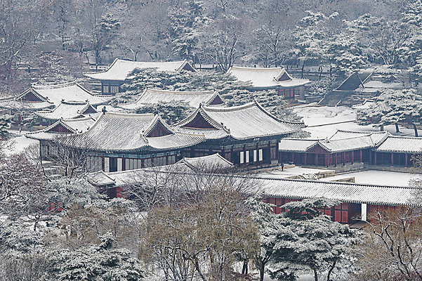 포토 JPG 주간 한국문화 겨울 한옥 서울 풍경 사람없음 야외 도시풍경 궁전 눈 도시 국내여행 창경궁 전경 국내포토 자연요소 동양문화 한국전통 계절 여행 고건축 날씨 한국 파일형식 탑뷰