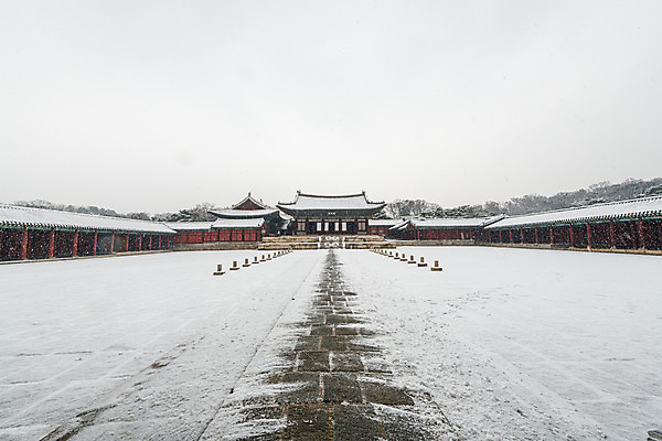 포토 JPG 주간 한국문화 겨울 한옥 서울 풍경 사람없음 야외 도시풍경 궁전 눈 도시 국내여행 창경궁 전경 국내포토 자연요소 동양문화 한국전통 계절 여행 고건축 날씨 한국 파일형식 탑뷰