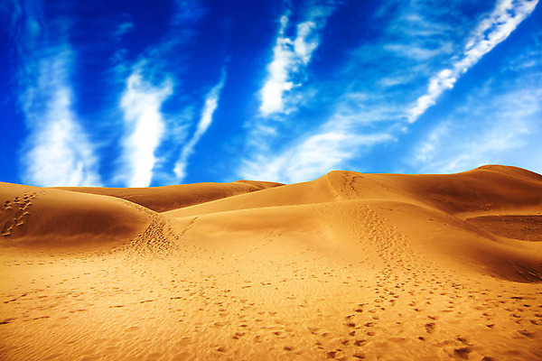 포토 JPG 해외이미지 모래 섬 여행 컨셉 자연 하늘 건조 따뜻함 파노라마 풍경 사람없음 일몰 새벽 사막 발자국 모래언덕 사하라 자취 수평선 해외202004 해외포토 자연요소 자국 아프리카 촬영기법 노을 언덕 생태계 파일형식