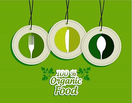 EPS 해외이미지 무료이미지 디자인 포크 일러스트 사람없음 초록색 세트 꼬리표 라벨 숟가락 원형 나이프 에코 유기농 해외202004 해외일러스트 도형 식기 웰빙 컬러 프레임 수저 환경 칼 파일형식 벡터 무료콘텐츠