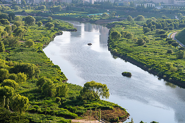 포토 JPG 주간 나무 서울 한국 풍경 사람없음 야외 강 도시풍경 목동 숲 국내여행 녹지 전경 국내포토 자연요소 식물 아시아 여행 도시 파일형식 탑뷰