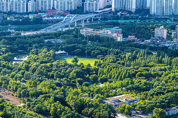 포토 JPG 주간 나무 공원 휴식 서울 한국 풍경 사람없음 야외 도시풍경 숲 국내여행 휴식처 서울숲 전경 국내포토 자연요소 식물 공공시설 아시아 여행 컨셉 도시 파일형식 탑뷰