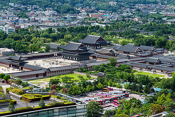 포토 JPG 주간 나무 한옥 서울 풍경 사람없음 야외 도시풍경 궁전 경복궁 광화문 국내여행 전경 국내포토 자연요소 식물 한국전통 여행 고건축 한국 도시 랜드마크 파일형식 탑뷰