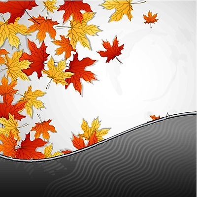 EPS 해외이미지 나무 식물 디자인 계절 백그라운드 단풍 잎 오렌지 일러스트 자연 추상 미술 장식 갈색 노란색 가을 황금 9월 질감 10월 해외202004 해외일러스트 컬러 무늬 과일 문화예술 날짜 생태계 파일형식 벡터