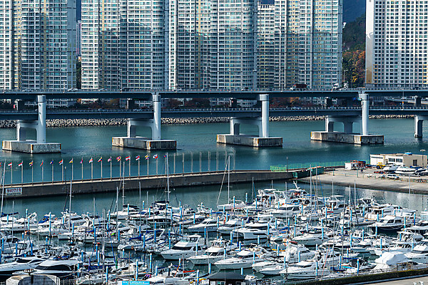 포토 JPG 주간 바다 요트 한국 풍경 사람없음 야외 도시풍경 정박 부산 국내여행 요트경기장 해운대 전경 국내포토 자연요소 아시아 여행 배_교통 경기장 도시 파일형식 탑뷰