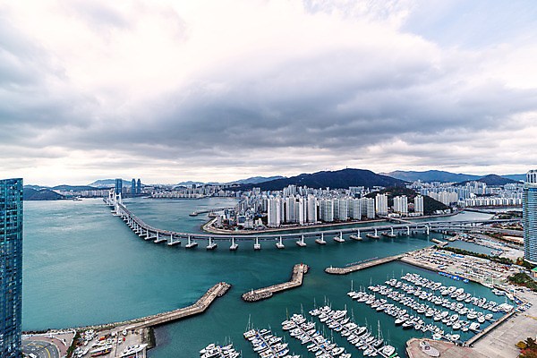 포토 JPG 주간 바다 요트 한국 풍경 사람없음 야외 도시풍경 정박 부산 국내여행 요트경기장 해운대 전경 국내포토 자연요소 아시아 여행 배_교통 경기장 도시 파일형식 탑뷰