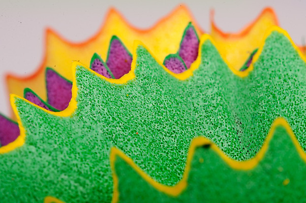 포토 JPG 해외이미지 백그라운드 색연필 미술 근접촬영 사람없음 목재 빨간색 초록색 파란색 컬러풀 갈색 노란색 보라색 오브젝트 날카로움 스펙트럼 해외202004 해외포토 나무 뷰포인트 컬러 재료 문화예술 학용품 파일형식