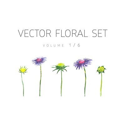 EPS 해외이미지 식물 디자인 계절 꽃잎 꽃 꽃다발 결혼 백그라운드 꽃무늬 패턴 일러스트 자연 벽지 수채화 미술 그래픽 초록색 여름 세트 보라색 봄 수확 흰색 나뭇가지 인사 붓 신용카드 생일 인쇄 허브 그림 질감 초대 손그림 내추럴 고립 엘리먼트 스타일 해외202004 해외일러스트 나무 기념일 컬러 무늬 농업 문화예술 이벤트 금융 예절 생태계 파일형식 벡터