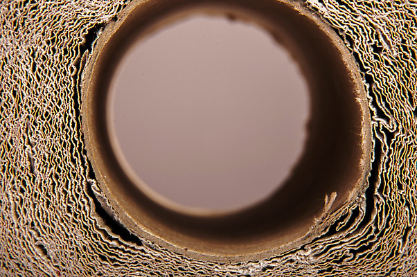 포토 JPG 해외이미지 디자인 종이 백그라운드 패턴 날씨 추상 미술 사람없음 갈색 노란색 공백 손상 수확 골동품 흰색 시골 얼룩 거친 주름 고민 질감 복고 정사각형 캔버스 페이지 결 스크래치 찢어짐 시들음 비네팅 구김 구식 그런지 양피지 엘리먼트 옛날 해외202004 해외포토 도형 감정 컬러 컨셉 무늬 농업 모션 문화예술 촬영기법 파일형식