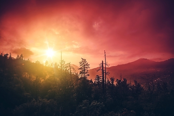 포토 JPG 해외이미지 식물 구름 자국 자연 하늘 날씨 산 풍경 사람없음 가로 햇빛 태양 맑음 일몰 하이킹 안개 광선 땅 캘리포니아 뿌연 절정 수평선 해외202004 해외포토 자연요소 레저 노을 미국 생태계 파일형식