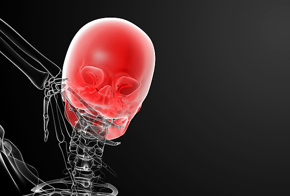 포토 JPG 해외이미지 과학 해부 뼈 골격 엑스레이 사람 사람없음 옆모습 약 머리 검은색 광선 투명 치아 턱 고립 부정적 해골모형 해외202004 해외포토 감정 뷰포인트 컬러 의학 신체부위 모형 소화기관 파일형식