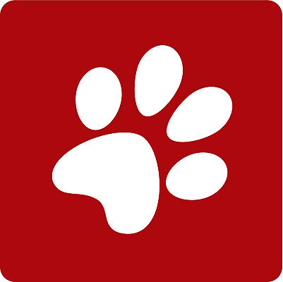 EPS 해외이미지 동물 1 실루엣 야생동물 백그라운드 패턴 일러스트 곰 벽지 미술 반려동물 컬러풀 고양이 페인트 산책 흰색 개 강아지 인쇄 발자국 만화 심볼 사인 질감 복고 사냥개 땅바닥 양발 자취 해외202004 해외일러스트 컬러 무늬 포유류 자국 문화예술 휴식 바닥 촬영기법 파일형식 벡터