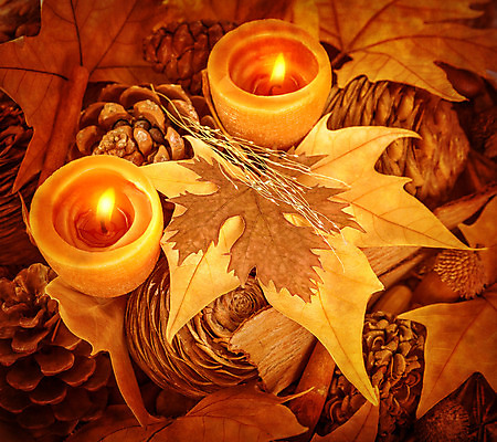 포토 JPG 해외이미지 식물 전통 디자인 계절 행복 백그라운드 단풍 잎 오렌지 촛불 자연 휴가 기념 건조 사람없음 장식 빛 갈색 노란색 파티 축제 가을 축하 소나무 황금 닫기 솔방울 추수감사절 전나무 원뿔 광 적갈색 정물화 스타일 해외202004 해외포토 도형 나무 감정 기독교 컬러 컨셉 과일 초 모션 이벤트 그림 생태계 파일형식