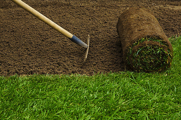 포토 JPG 해외이미지 식물 잔디 야외 초록색 정원 흙 도구 롤 갈퀴 설치 원예사 해외202004 해외포토 직업 컬러 파일형식