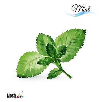 EPS 해외이미지 식물 디자인 백그라운드 잎 꽃무늬 다이어트 일러스트 재료 자연 추상 수채화 건강 미술 그래픽 초록색 신선 그리기 스케치 민트 허브 향신료 오브젝트 그림 유기농 생태계 날것 향기 아로마 향 비타민 내추럴 고립 숙성 엘리먼트 해외202004 스피아민트 해외일러스트 웰빙 꽃 컬러 무늬 모션 문화예술 냄새 영양소 향미료 파일형식 벡터