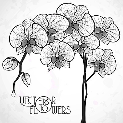 EPS 해외이미지 식물 디자인 꽃잎 꽃 백그라운드 꽃무늬 패턴 일러스트 비즈니스 자연 추상 미술 장식 여름 검은색 봄 벚꽃 흰색 나뭇가지 난초 스케치 그림 윤곽 고립 해외202004 해외일러스트 나무 계절 컬러 무늬 문화예술 생태계 파일형식 벡터