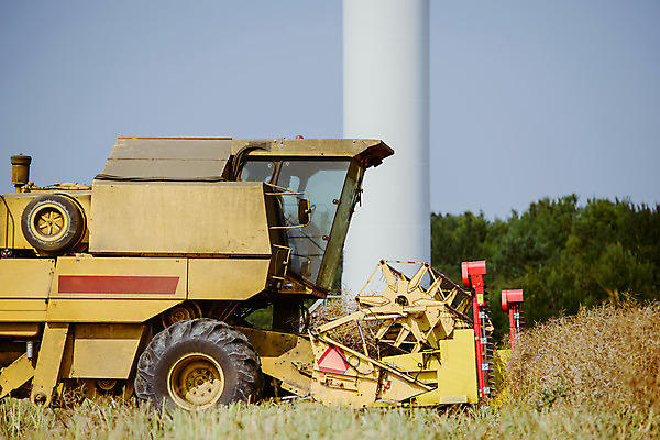 포토 JPG 해외이미지 밭 농업 자연 씨앗 사람없음 야외 농작물 농장 수확 추수 가을 밀 밀짚 밭일 해외202004 해외포토 식물 계절 산업 곡류 짚 생태계 파일형식